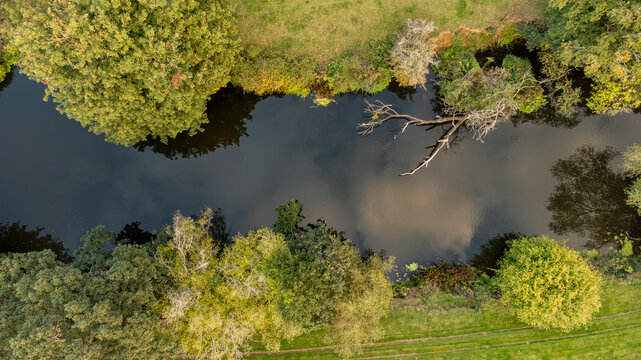 Drone view of a quiet, tree-lined river in a natural forest area.