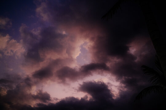 View of the dramatic twilight sky with deep purple and dark clouds at sunset, framed by the silhouette of a palm tree at ARYA Sumba - Kodi in Kodi, East Nusa Tenggara, Indonesia.