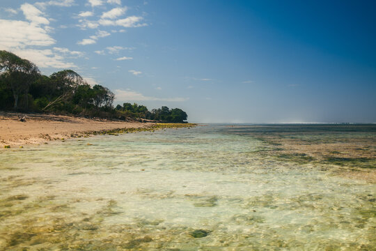 View of the beach at ARYA Sumba - Kodi with clear shallow water, sandy shore, and lush trees under a blue sky in Kodi, East Nusa Tenggara, Indonesia.