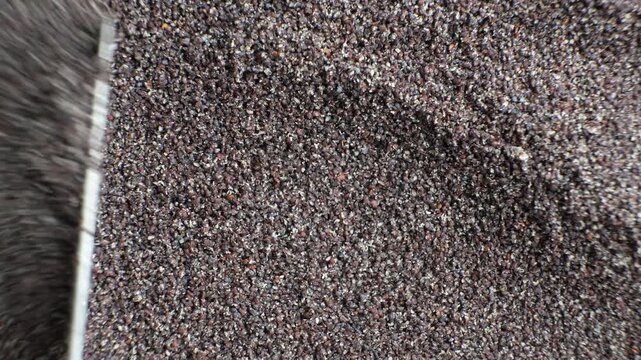 Moving and smoothing ground poppy seeds to show natural texture top view