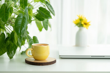 Orange juice in a yellow cup and yellow flower and philodendron plant © paladin1212