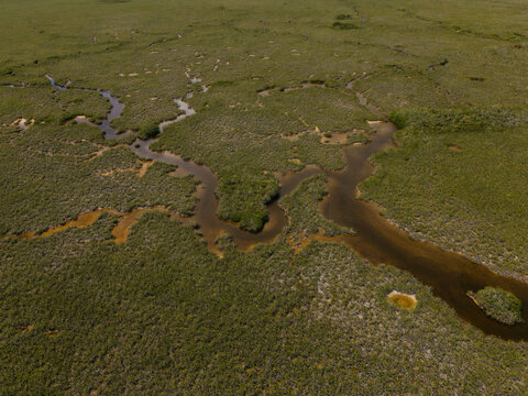 Aerial View of Winding Creek Through Wetland