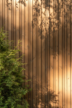Sunlight and tree shadows on wooden exterior wall