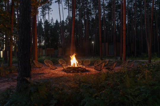 Cozy outdoor fire circle at modern forest retreat