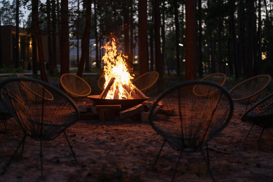 Cozy fire pit with lounge chairs in forest retreat