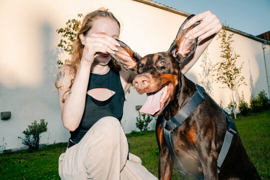 Dog and Owner Play in Backyard During Sunny Afternoon