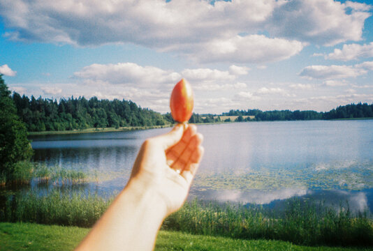 Female Hand Holding Tomato by the Lake