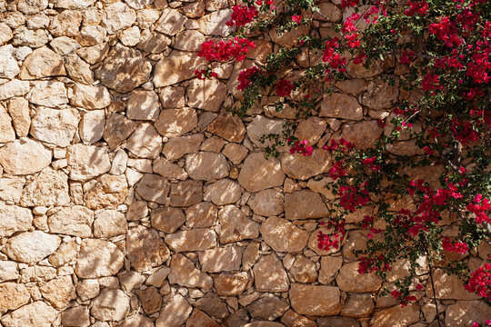cretan lifestyle wall with Bougainvillea bush next to it