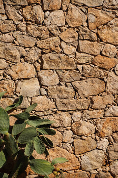 cretan lifestyle wall and nopal cactus next to it