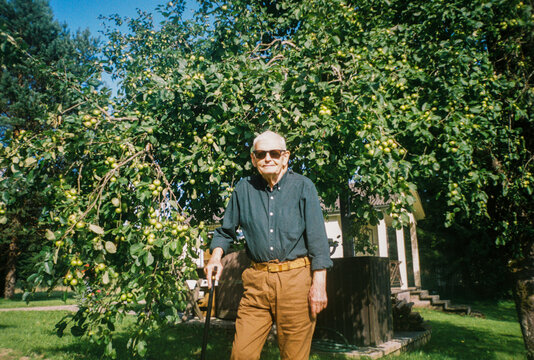 Senior Man Stands Under an Apple Tree