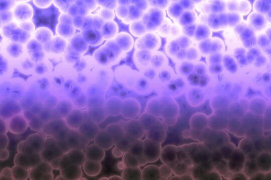 Shape of bacterial cell: cocci, bacilli, spirilla bacteria background