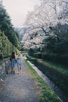 Two girls walking along a narrow canal path beneath blooming trees