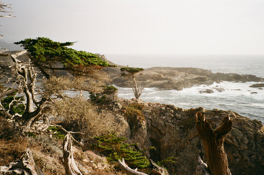 Point Lobos, Carmel, California