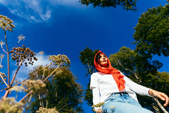 Low Angle Meadow Portrait