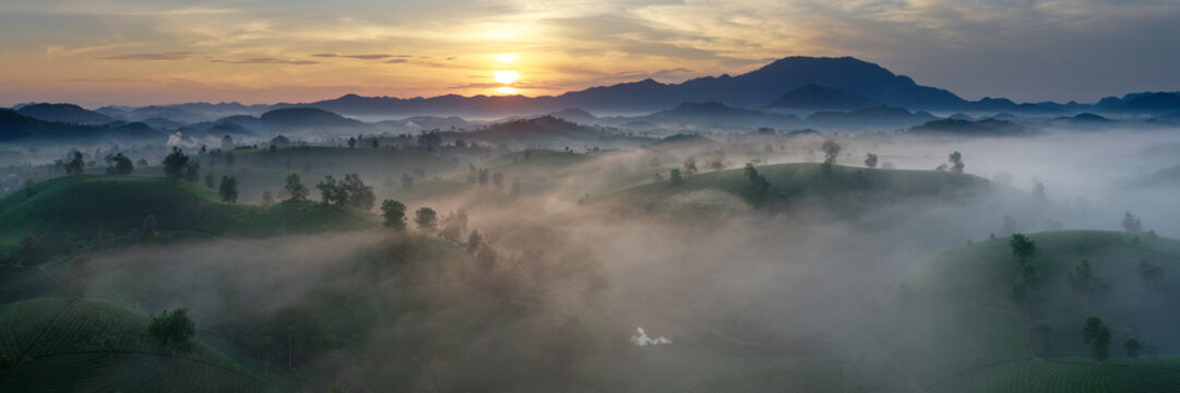 Long Coc Tea Hills Sunrise Mist Northern Vietnam 2