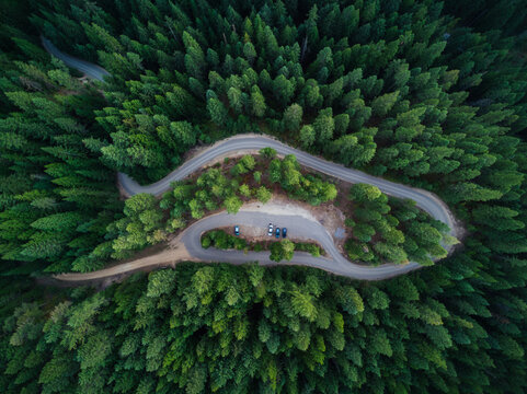 Winding Forest Road Aerial