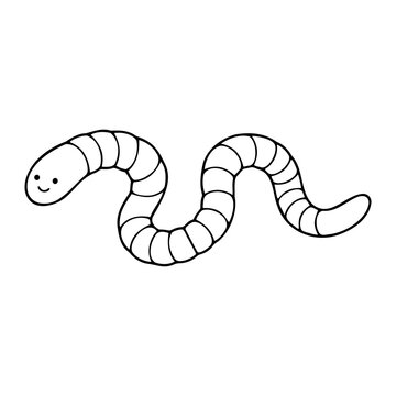 Educational biology vector icon set featuring segmented worm anatomy