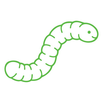 Educational science illustration featuring segmented worm body