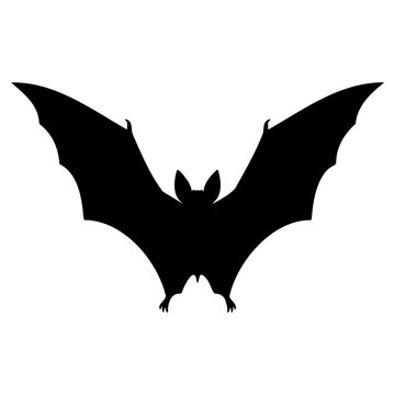 Halloween spooky bat flying over moon ghost tombstone and cauldron