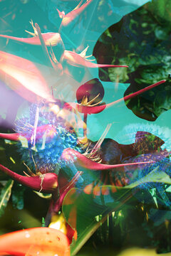 Abstract sunlit foliage with dreamy pastel light overlay