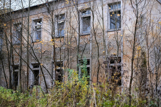 Abandoned deteriorating building hidden behind tangled autumn trees with yellow leaves, damaged brickwork and broken windows. Eerie atmosphere of danger, neglect, structural decay