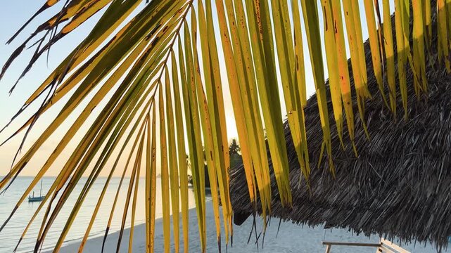 Palm fronds and thatched roof on tropical beach at sunset - Maldives