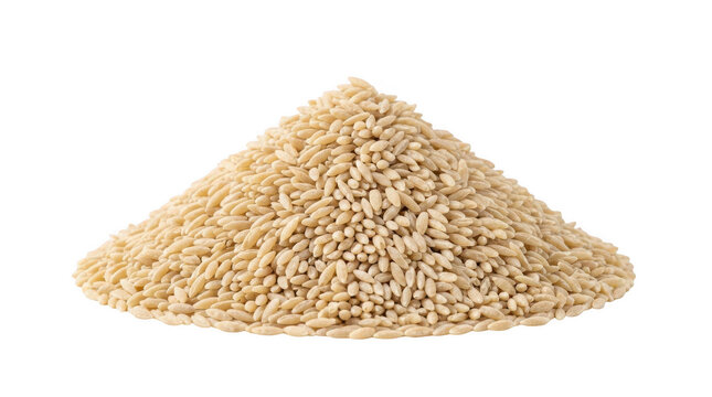 A pile of dry uncooked orzo pasta grains isolated on transparent background