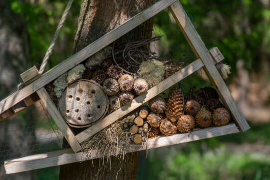 Wooden insect hotel with pinecones logs and straw hanging on a tree outdoors in green garden in natural sunlight