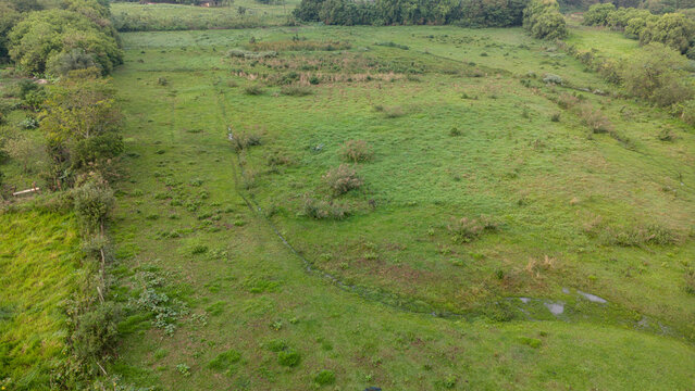 Aerial view of a lush green pasture with a small stream, scattered shrubs, and trees in Araras, Sao Paulo, Brasil.