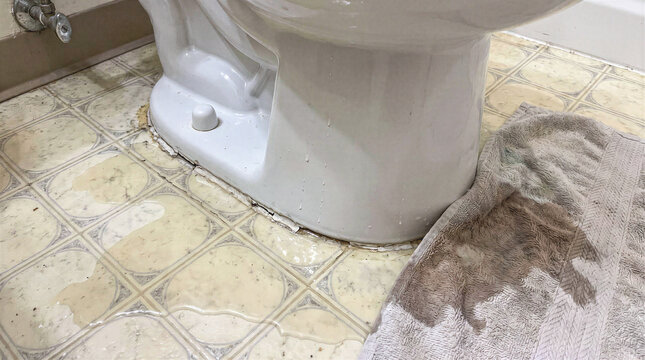 Standing water surrounds toilet base on tiled bathroom floor, while cracked caulk and moisture mark porcelain. Damp towel lies beside fixture, emphasizing plumbing maintenance issue.