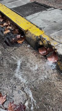 Water flowing from a curb drain pipe into a street grate covered with fallen autumn leaves in Buenos Aires, Argentina. Concept of urban infrastructure and rainy weather. 4k 60fps, High frame rate