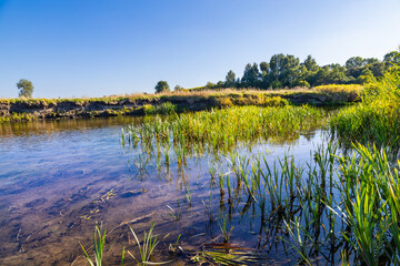 The Nida Valley. The meanders of the Nida River in early autumn. Ponidzie. Świętokrzyskie Voivodeship, Poland © krysek