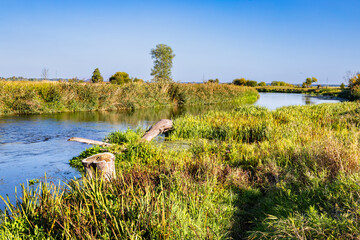 The Nida Valley. The meanders of the Nida River in early autumn. Ponidzie. Świętokrzyskie Voivodeship, Poland © krysek
