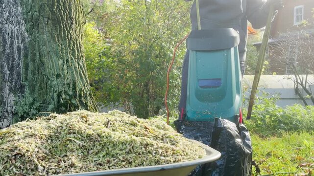 A person feeds long branches into a electric garden shredder in an outdoor garden. A wheelbarrow filled with crushed wood chips sits in the foreground. The machine makes a loud grinding noise.