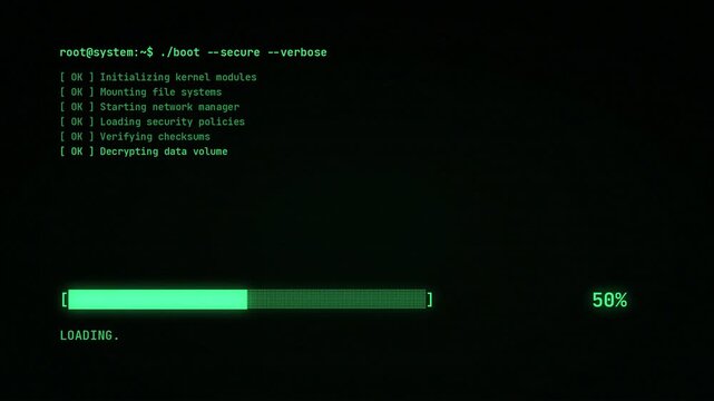 Terminal boot console loading animation, green code lines and ascii progress bar counting from 1 to 100 percent, system startup and access granted, hacker computer screen