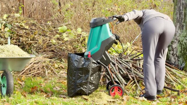 A gardener feeds branches into an electric wood shredder in an autumn yard. The machine makes a continuous mechanical grinding noise.