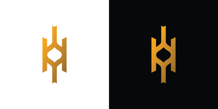 Luxury and unique WM logo design