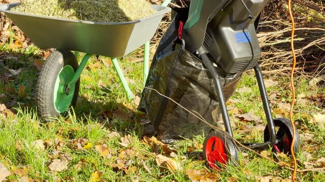 A loaded wheelbarrow and electric shredder sit on green grass during autumn yard work. The bright outdoor setting gives a feeling of calm productivity and quiet satisfaction.