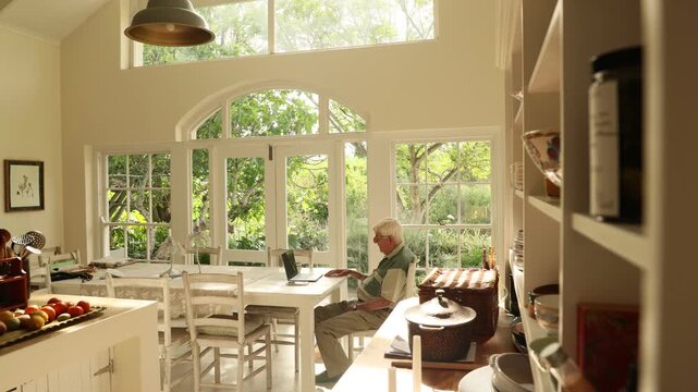 elderly man (90) looking at laptop computer in light filled room