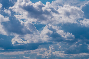 Puszyste chmury kłębiaste ( cumulus) wypełniają niebo nad Polską. Są białe i okazałe, dzięki czemu wyraźnie odcinają się od intensywnego błękitu tła. Chmury różnią się między sobą wielkością, tworząc  © Grzegorz