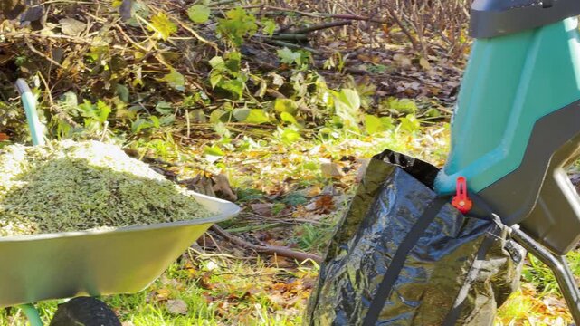 A wood shredder processes garden waste beside a wheelbarrow filled with mulch in an autumn yard. The calm outdoor setting inspires a satisfying sense of productive peace.