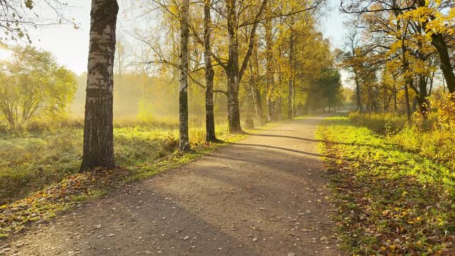 POV walkthrough of an empty park path, shot on stabilizer. Smooth forward camera motion glides through serene, golden autumn trees. Feel peaceful atmosphere in Pushkin, Russia, slow motion.