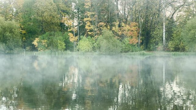 A misty lake reflects autumn trees in a quiet park. Light fog moves over calm water in slow motion. The peaceful view brings a serene mood in Pushkin, Russia.
