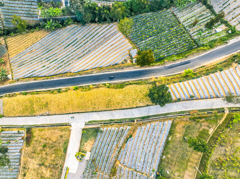 Aerial view of terraced agricultural fields and rural roads in the countryside of Kecamatan Kaliangkrik, Jawa Tengah, Indonesia.