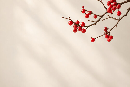 Sparse red winter berries on a warm ivory background