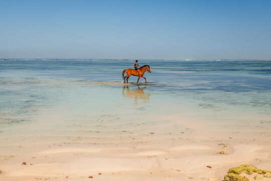 Kodi, Indonesia - 06 August 2026: View of a person riding a brown horse through the shallow turquoise waters of the beach near ARYA Sumba.
