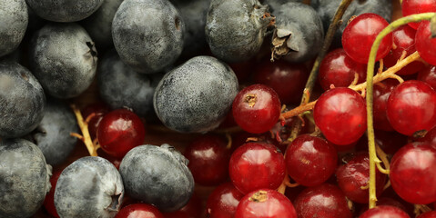 Fruits background. Diet. Vitamin. Background. Berry © Erika