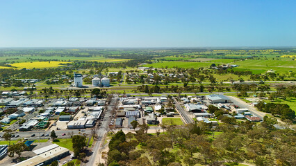 Keith, South Australia, Australia – 4K aerial drone view of rural Australian town surrounded by spectacular golden yellow canola fields, green farmland, grain silos and agricultural landscapes © Vistalen