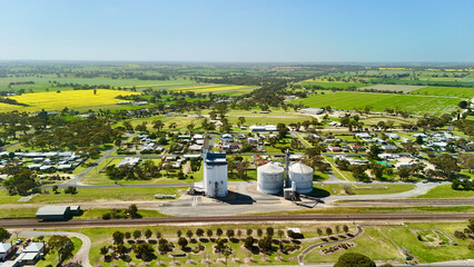 Keith, South Australia, Australia – 4K aerial drone view of rural Australian town surrounded by spectacular golden yellow canola fields, green farmland, grain silos and agricultural landscapes © Vistalen