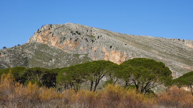 Rocky mountain landscape visible over treetops (Pineae), against a blue sky, Strofilia biotope, wetlands, Kalogria, Peloponnese, Greece